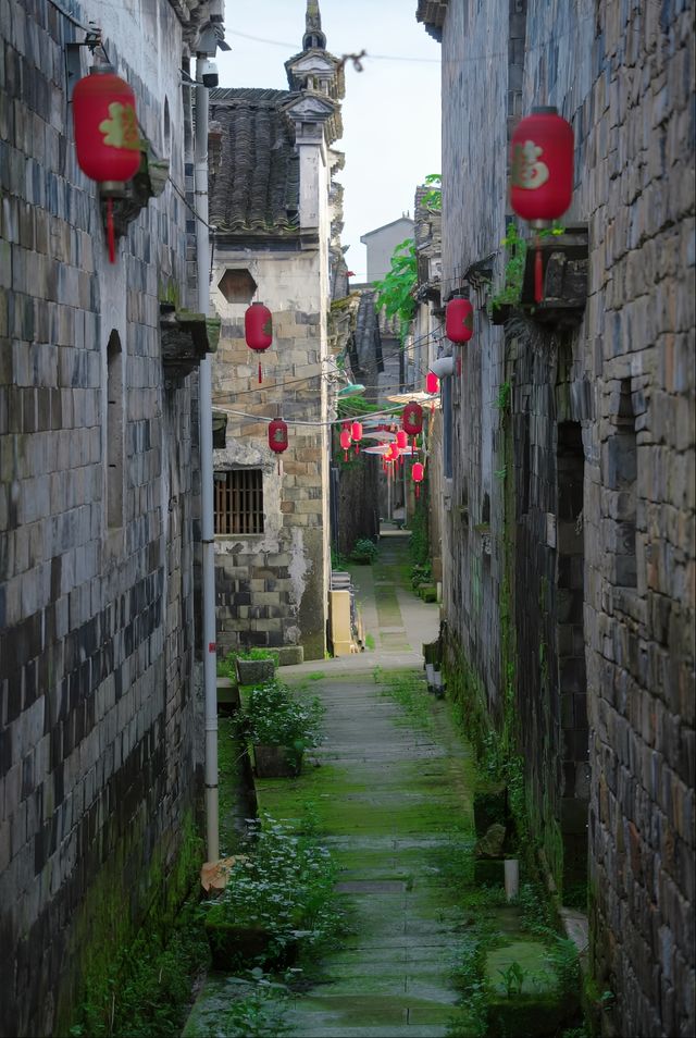 後吳村絕美荷塘古韻