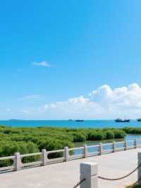 被低估嘅广东海滨顶流！湛江3日食到饱攻略