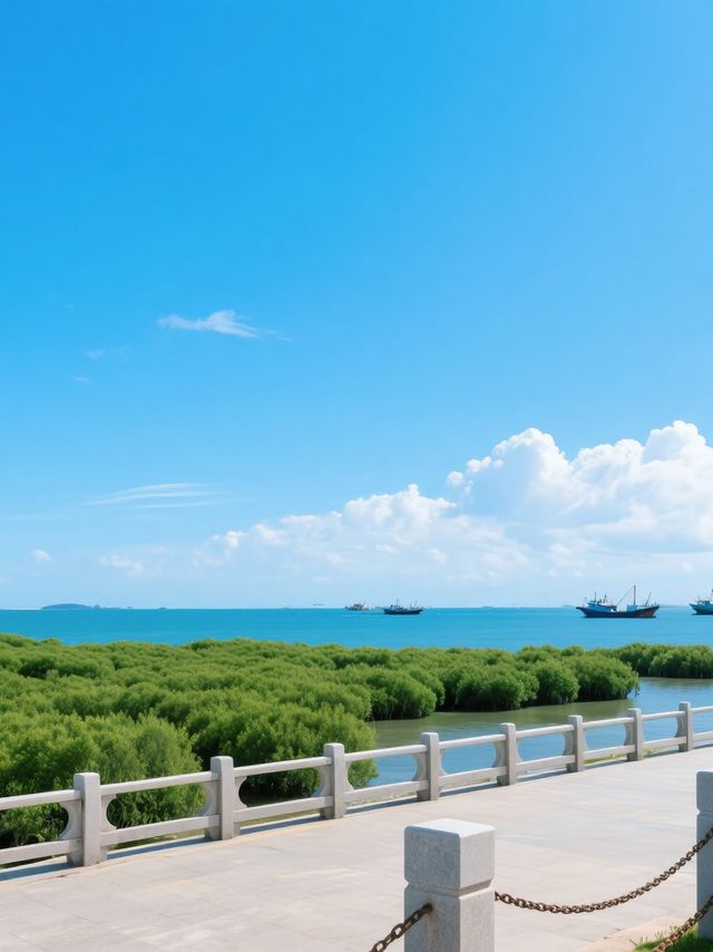 被低估嘅广东海滨顶流！湛江3日食到饱攻略