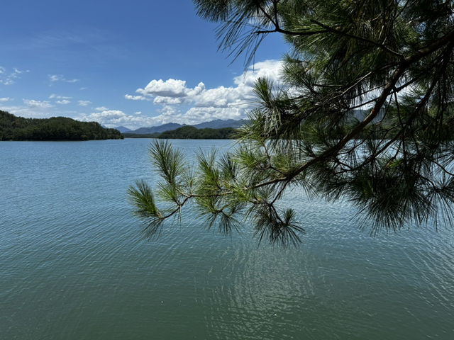 A summer paradise for kids and elderly
