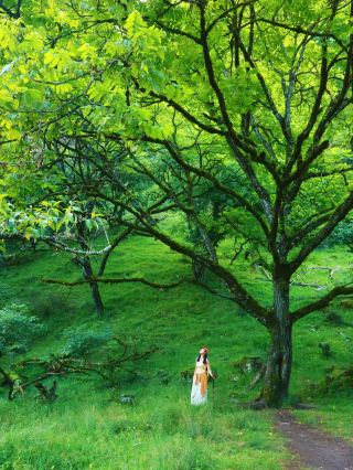 Hướng dẫn về kỳ nghỉ hè ở Thành Đô và các khu vực xung quanh, cùng hành trình đến xứ sở Phù thủy xứ Oz 23℃!