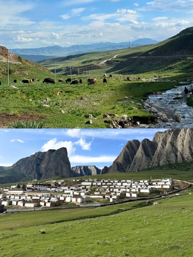強烈建議夏天去一次甘南