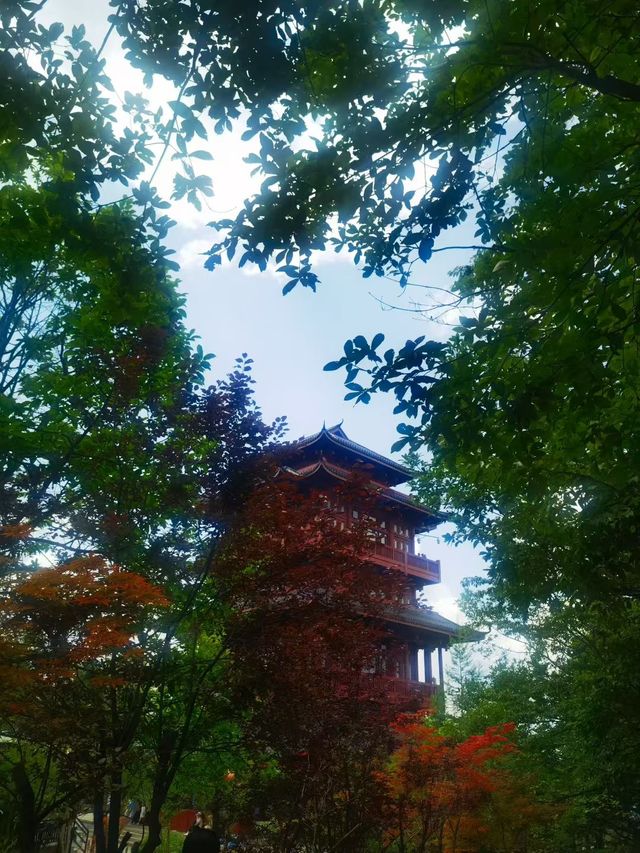 𝐙𝐡𝐚𝐧𝐠 𝐣𝐢𝐚 𝐣𝐢𝐞  張家界見山川