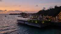 Two Blissful Weeks in Paradise