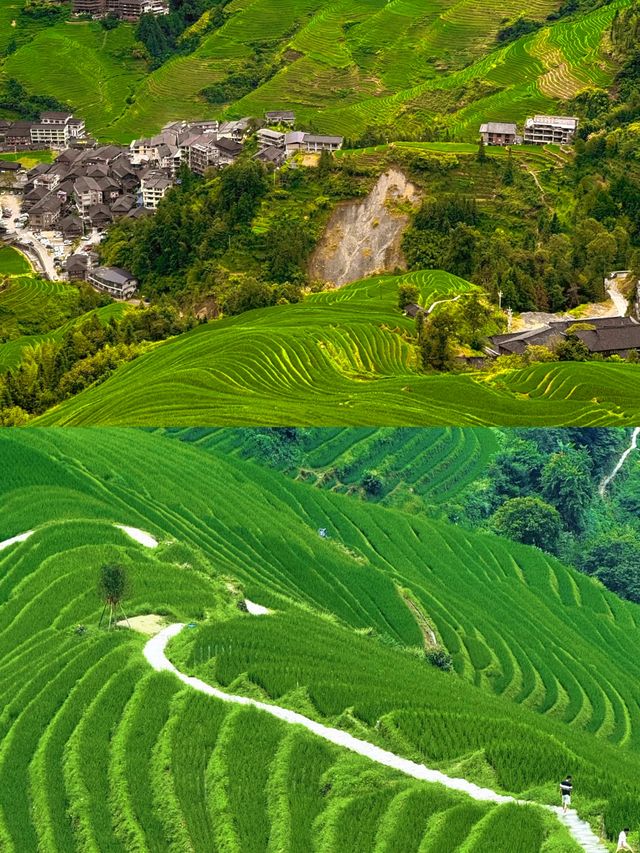 感受自然風光梯田之美