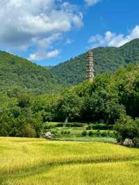 2.5h逃離上海！這座江南宋城，一半仙氣浸山水