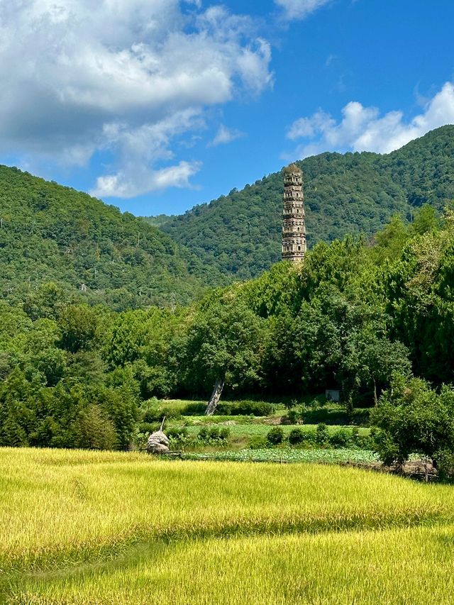 2.5h逃離上海！這座江南宋城，一半仙氣浸山水