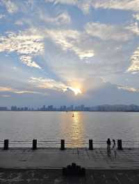 海灣公園賞花指南