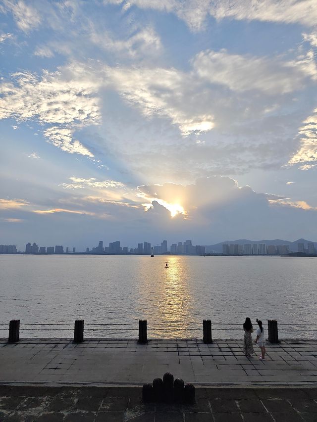 海灣公園賞花指南