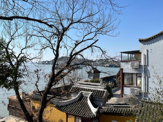 古寺聽禪觀鳥｜在永慧禪寺遇見山林裡的飛羽精靈