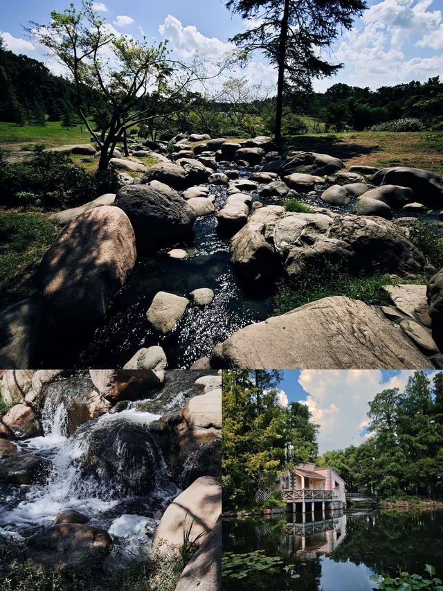 上海小眾打卡地！莫奈花園同款粉黛海少女心炸裂！