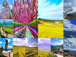 Enjoy the Beauty of All Four Seasons