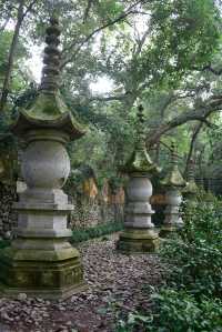 心心念念的國清寺！