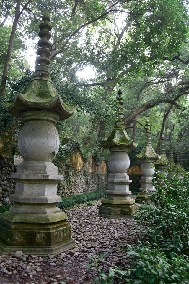 心心念念的國清寺！