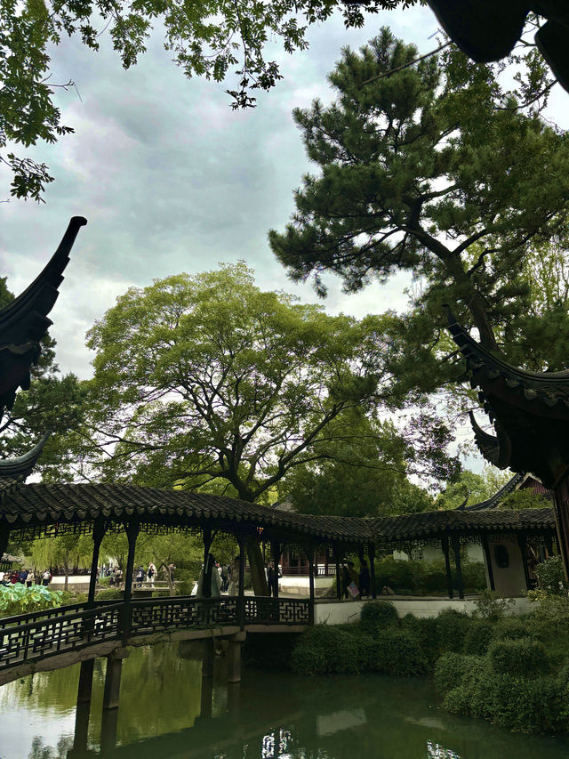 拙政園｜在江南園林裡，邂逅一場詩意漫遊～