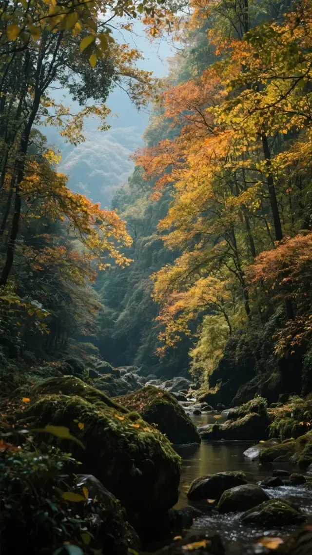 Golden Autumn in Chengdu: A Three-Day, Two-Night Travel Guide. Enjoy a Relaxing and Exciting Autumn Slow Life!