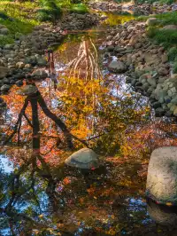 還有1個月｜魔都市區的調色盤公園即將上線