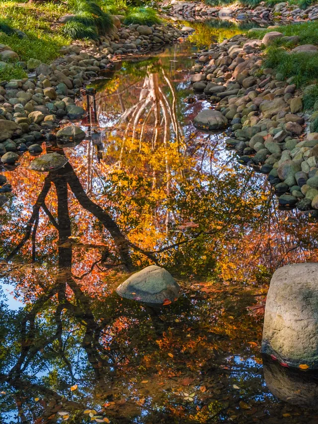 還有1個月｜魔都市區的調色盤公園即將上線