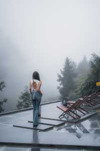 秋日 雨天 山林 私湯