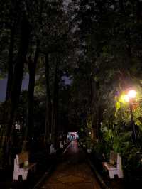夜遊漳州古城中山公園