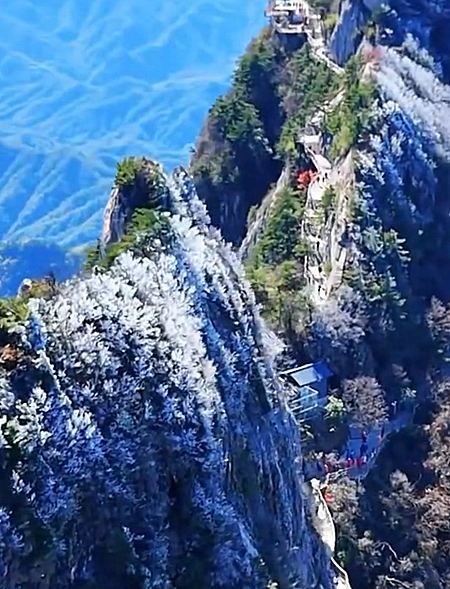 老君山馬鬃嶺現奇觀