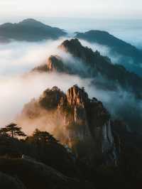 親子旅行攻略。莽山無障礙天堂!輪椅嬰兒車友好型雲端漫步全指南