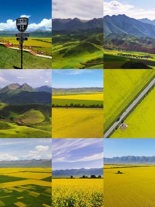 A Common Person’s Golden Plateau Roaming Guide