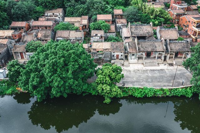 假期反向遊:藏在廣佛都市圈的黎邊村,青磚黛瓦藏著嶺南慢時光 假期反向遊:藏在廣佛都市圈的黎邊村,青磚黛瓦藏著嶺南慢時光