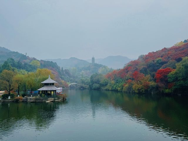 濟南絕美紅葉季趵突泉+紅葉谷週末遊攻略 濟南絕美紅葉季趵突泉+紅葉谷週末遊攻略