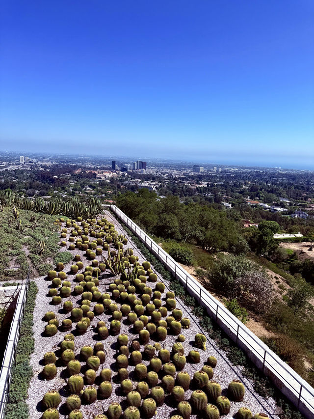 洛杉磯 盖蒂中心 格里菲斯天文台 植物園