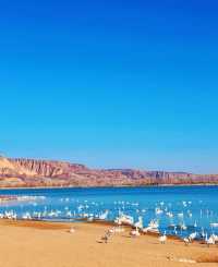 稷山附近旅遊去哪裡好玩