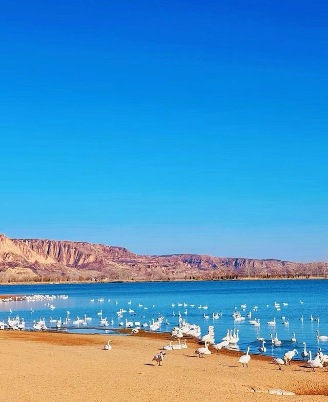 稷山附近旅遊去哪裡好玩 稷山附近旅遊去哪裡好玩