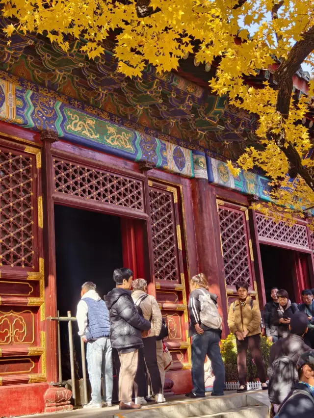 帝都秋色必打卡點