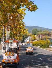 瀋陽世博園秋日漫遊｜治癒系吸氧之旅