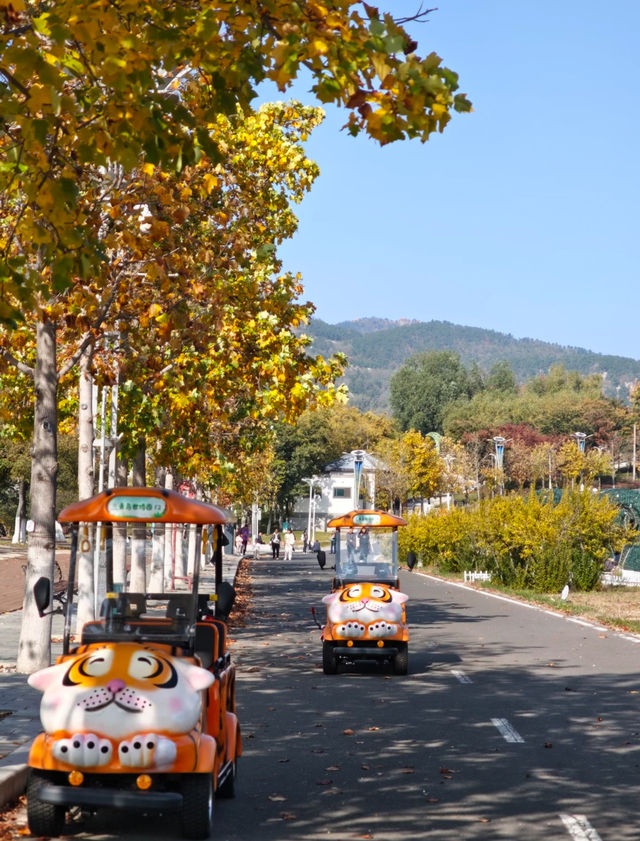 瀋陽世博園秋日漫遊｜治癒系吸氧之旅