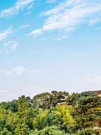 南京2日遊超全攻略不看後悔系列