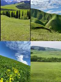 推薦一個超級美的地方……