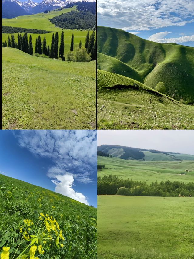 推薦一個超級美的地方……