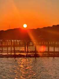 紹興秋日限定：20min高鐵直達，銀杏古寺醉江南