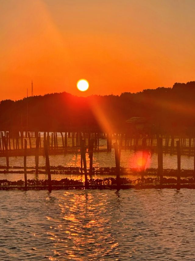 紹興秋日限定：20min高鐵直達，銀杏古寺醉江南