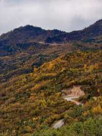 秋色限定牛背山私藏小團，2-8人暢玩雲端仙境！