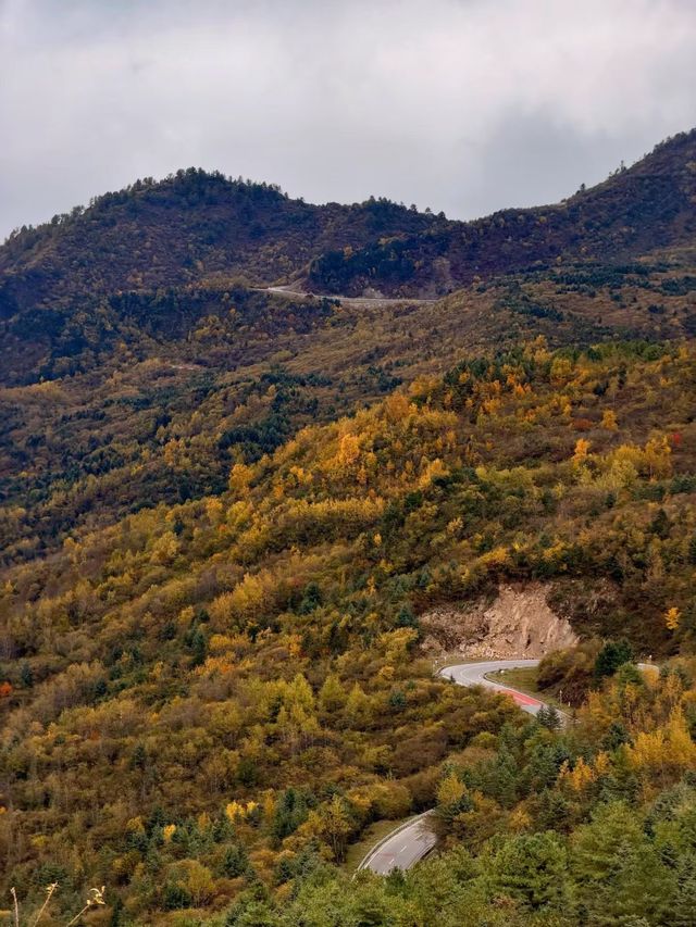 秋色限定牛背山私藏小團，2-8人暢玩雲端仙境！