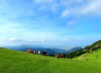 福清必玩全攻略！隱藏的寶藏，鮮為人知的美景。