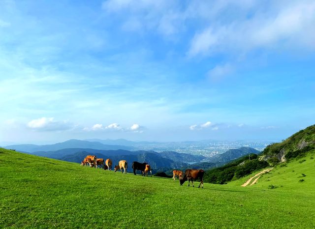 福清必玩全攻略！隱藏的寶藏，鮮為人知的美景。