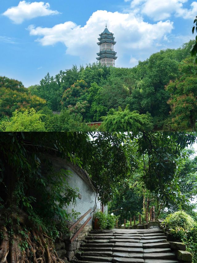 成都1h直達!鹽都自貢citywalk攻略打卡6個景點免 成都1h直達!鹽都自貢citywalk攻略打卡6個景點免