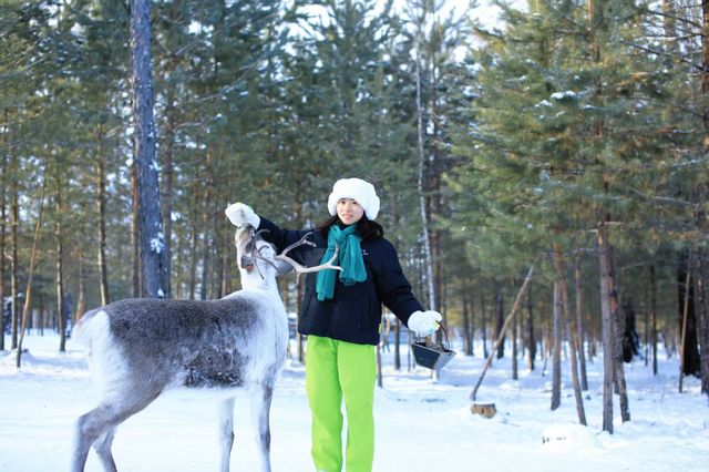 漠河三天兩晚極致尋北攻略：赴一場冰雪與星空的約會