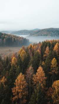 伊春森林木屋+野路子玩法全揭秘