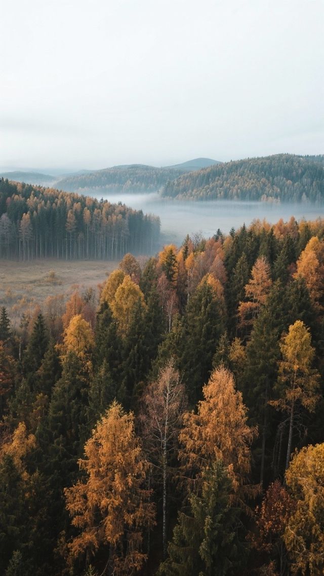 伊春森林木屋+野路子玩法全揭秘