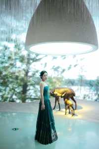 南京夜遊天花板！穿越千年的夢幻光影！