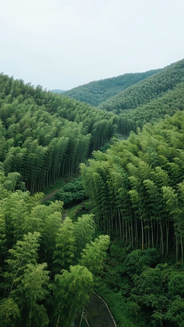 江蘇隱藏的世外桃源！